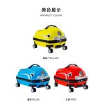 چمدان های مسافرتی ماشین