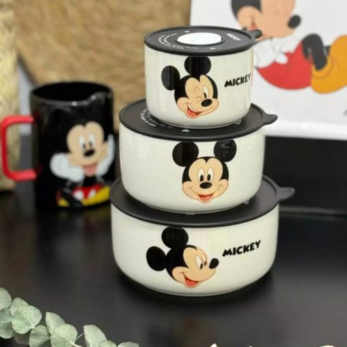ظرف های سرامیکی درب دار دیزنی