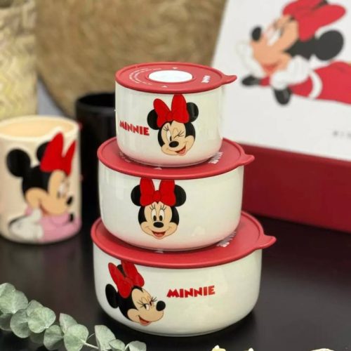 ظرف های سرامیکی درب دار دیزنی