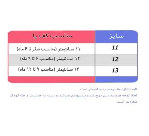 کفش های نوزادی دخترونه مجلسی مدل میلا