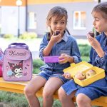 کیف غذا های عایقدار کرومی